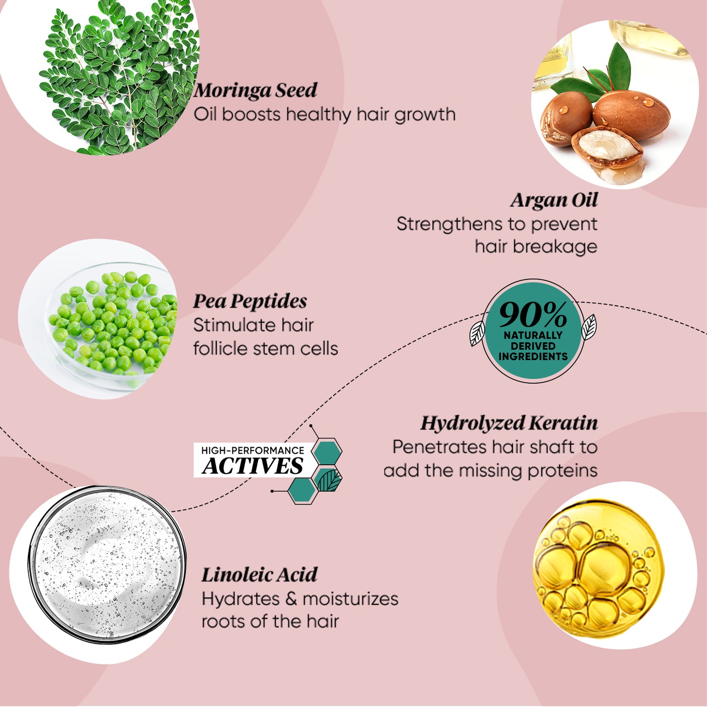 Dot & Key Moringa & Argan Hair Fall Control Shampoo (20ml)