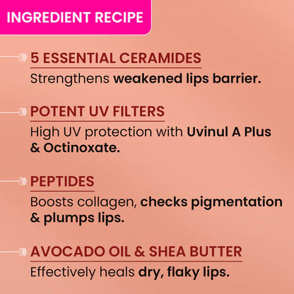 Dot & Key Ceramide & Peptide Barrier Repair Lip Balm SPF 50 PA+++, Warm Nude - 10gm